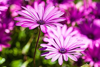 《暗黑破坏神4》登顶英国实体游戏销量榜